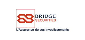 BRIDGE-SECURITIES LOGO
